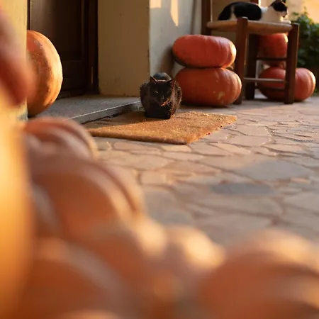 Farm stay I Mandorli *