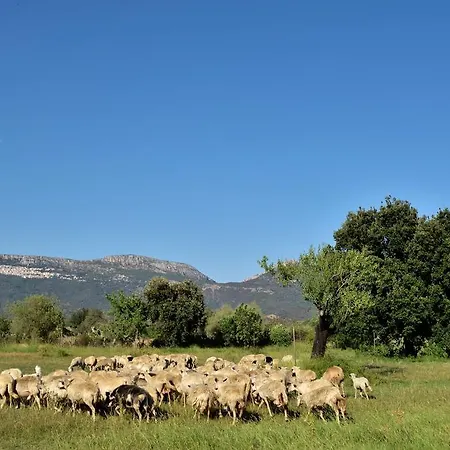 I Mandorli * Lotzorai