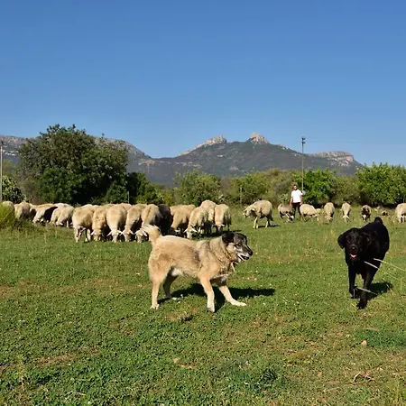Séjour à la ferme I Mandorli Lotzorai
