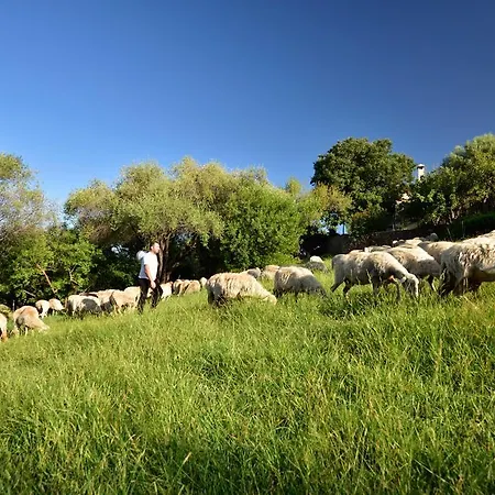 Séjour à la ferme I Mandorli Lotzorai