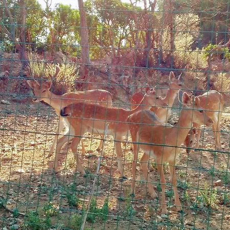 Séjour à la ferme I Mandorli Lotzorai