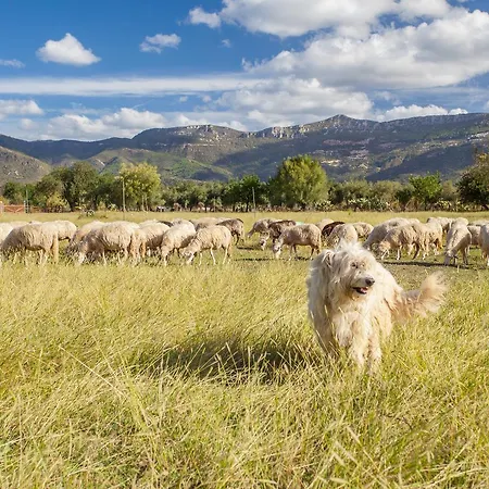 I Mandorli Farm stay *