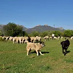 Séjour à la ferme I Mandorli Lotzorai