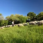 Séjour à la ferme I Mandorli Lotzorai