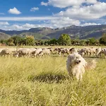 I Mandorli Séjour à la ferme *
